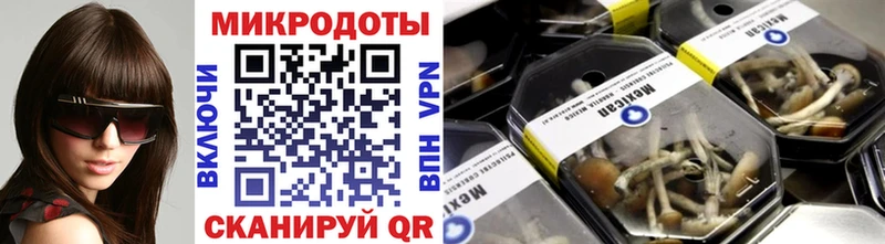 Псилоцибиновые грибы Psilocybe  Пыталово 