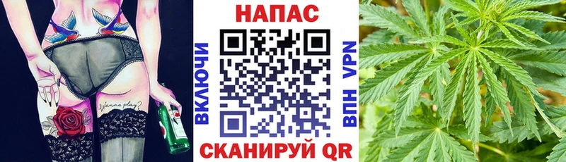 Бошки марихуана Amnesia  Пыталово 